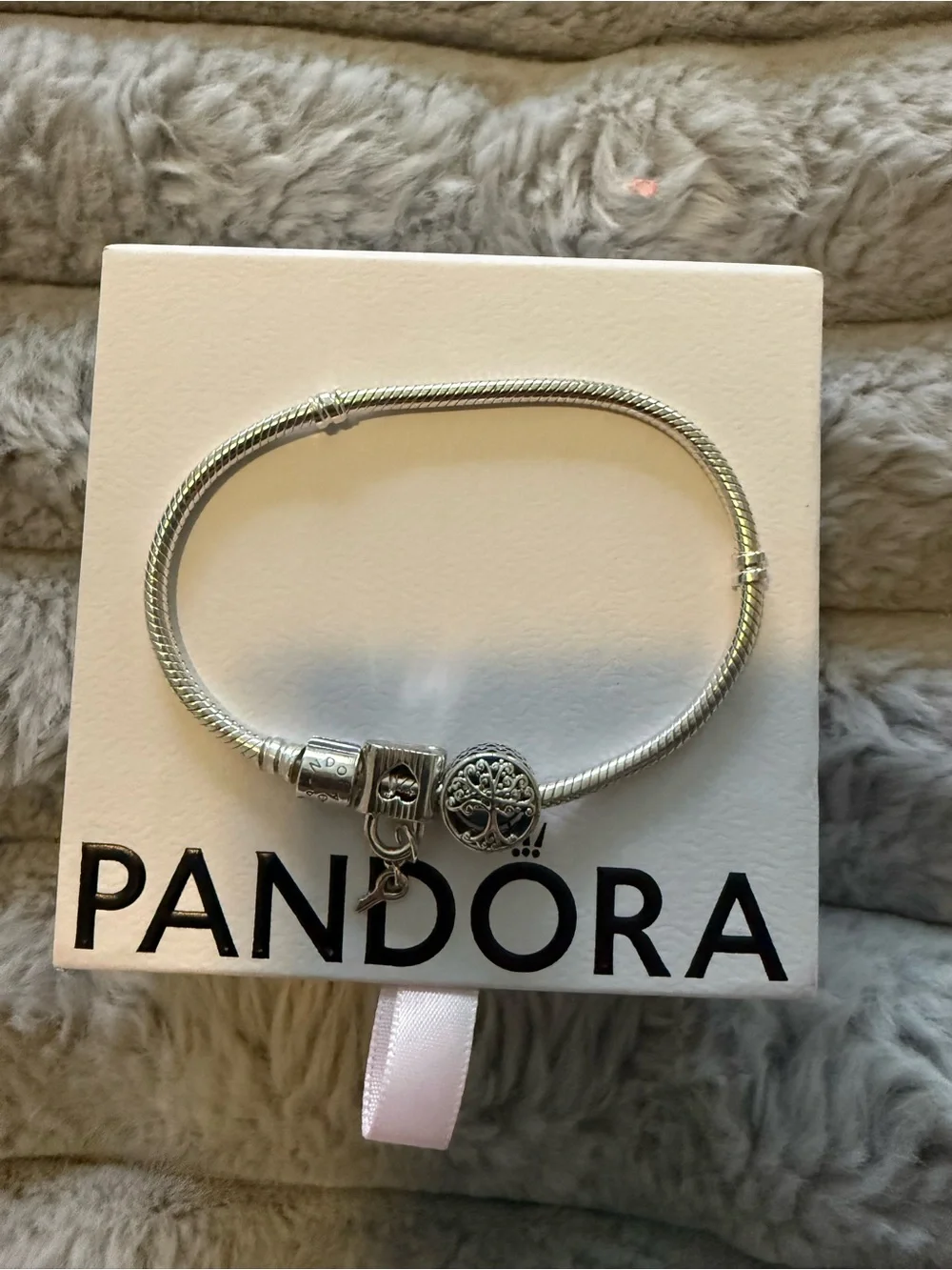 Pandora Bracelet with two charms